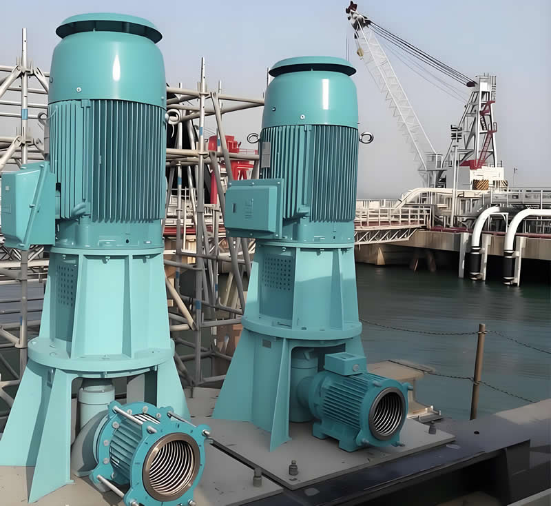 Vertical long shaft semi submersible turbine pump solution applied in the shipbuilding industry